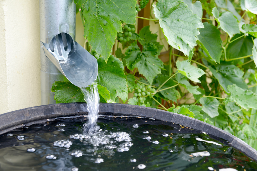rain barrels