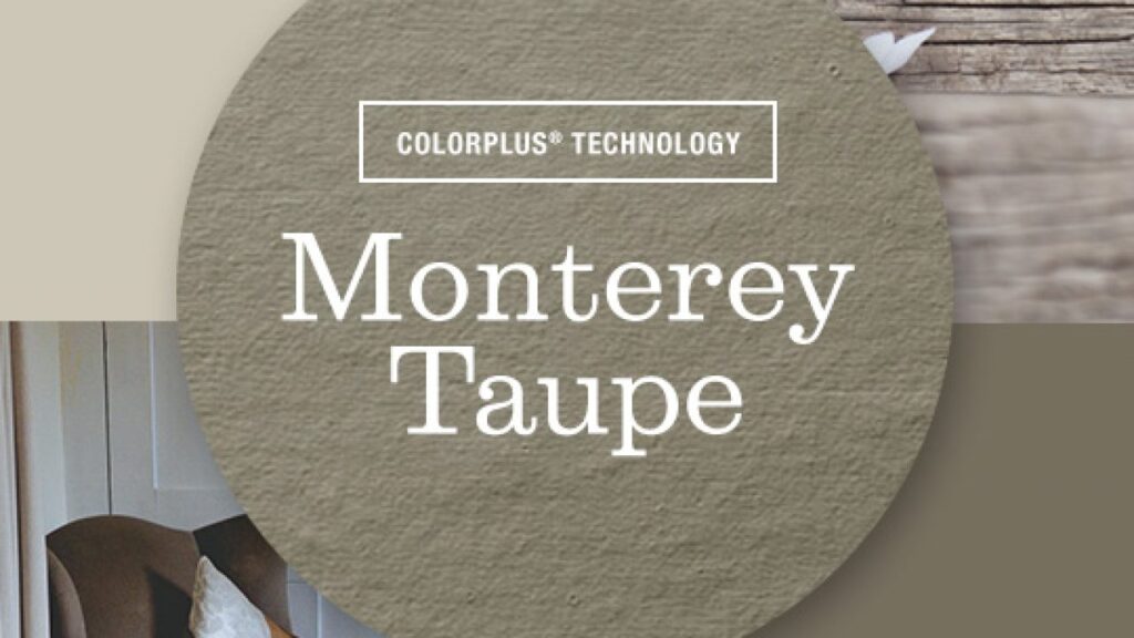 Montereytaupe-1-1024x384 Monterey Taupe