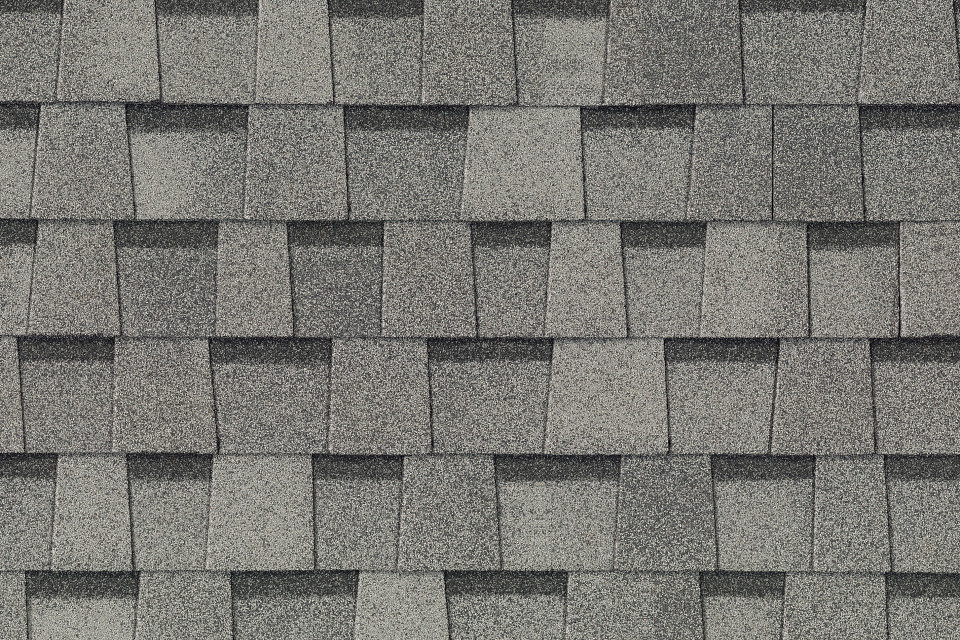 landmarkpro-mdbirch-swatch