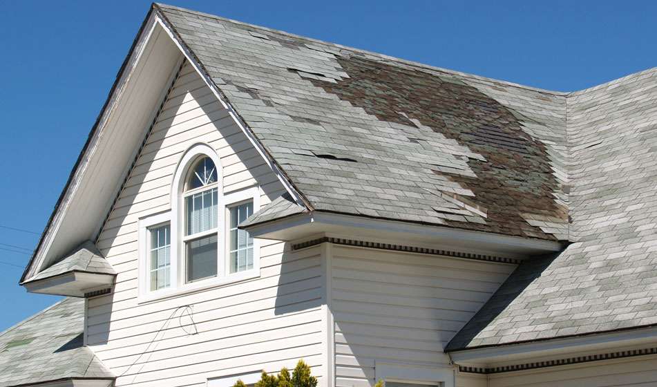 Roof Restoration Services