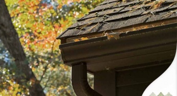 Are You Guilty of These Gutter Maintenance Sins?
