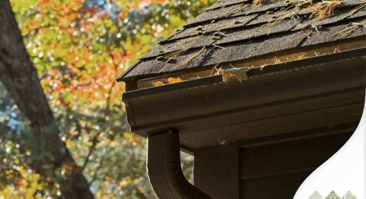 Are You Guilty of These Gutter Maintenance Sins?